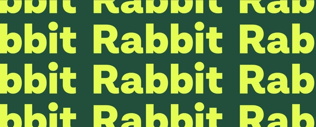 Rabbit