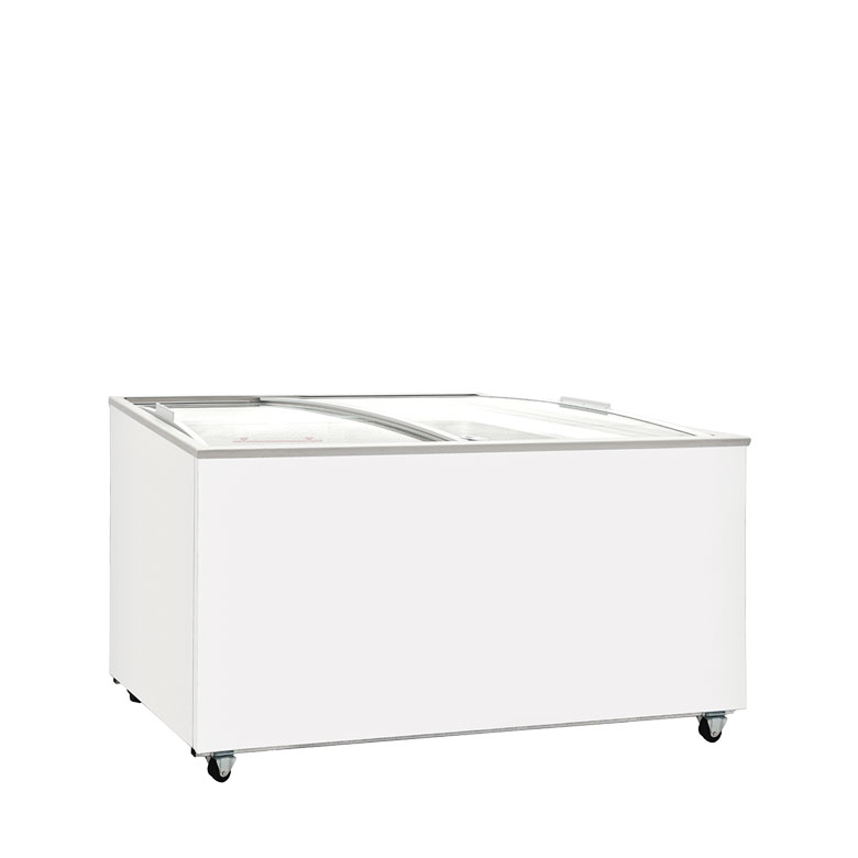 HORIZONTAL FREEZER - 205